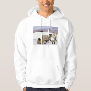 Sudadera Ovejas en invierno