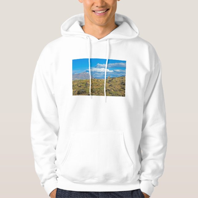 Sudadera País del Guanaco, Patagonia (Anverso)