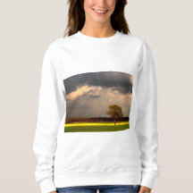 Paisaje 11