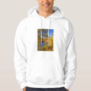 Sudadera Paisaje de árboles en otoño, Maine