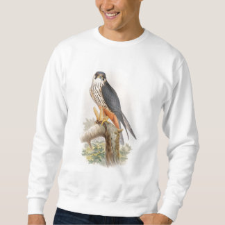 Sudadera Pájaros de Juan Gould del halcón de la afición de