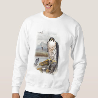 Sudadera Pájaros de Juan Gould del halcón de peregrino de