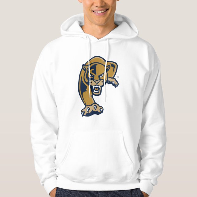 Sudadera Paneles Universitarios Internacionales de Florida (Anverso)