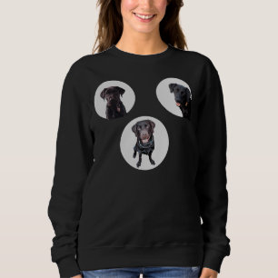 Sudadera Paquete Pegatina de recuperadores de mejor Labrado