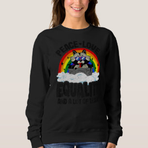 Sudadera Paz, amor e igualdad Raccoon Orgullo gay Arcoiris