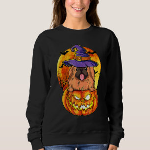 Sudadera Pekinés Bruja Calabaza Halloween Perro
