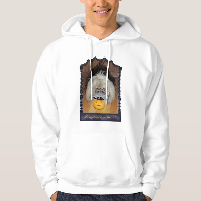 Sudadera Pekingese Halloween (Anverso)