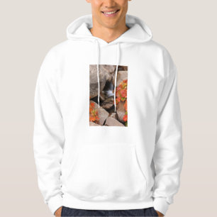 Sudadera Pequeño arroyo en otoño, California