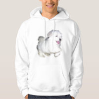 perrito