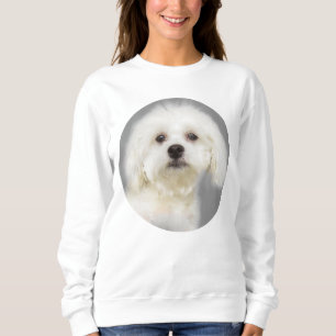 Sudadera Perrito blanco maltés