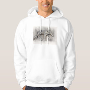 Sudadera Perrito magro