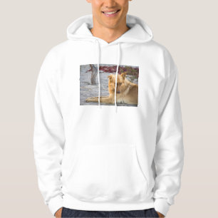 Sudadera Perro abandonado