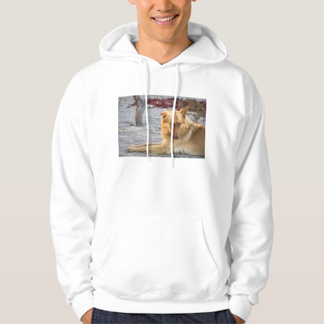 Sudadera Perro abandonado (Anverso)