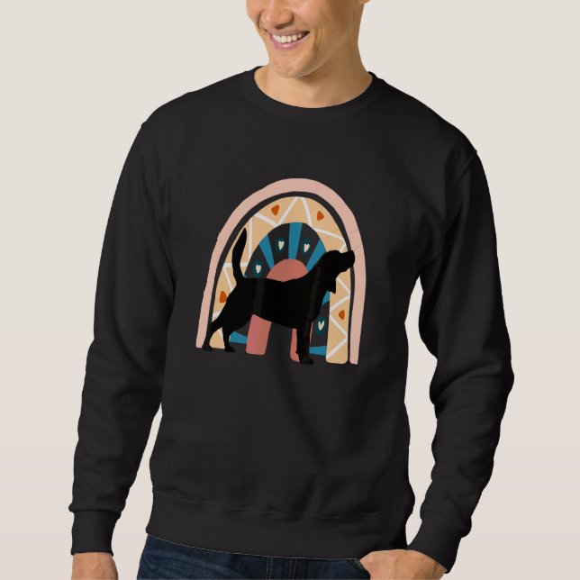 Sudadera Perro Beagel Con Arcoiris Estampado (Anverso)