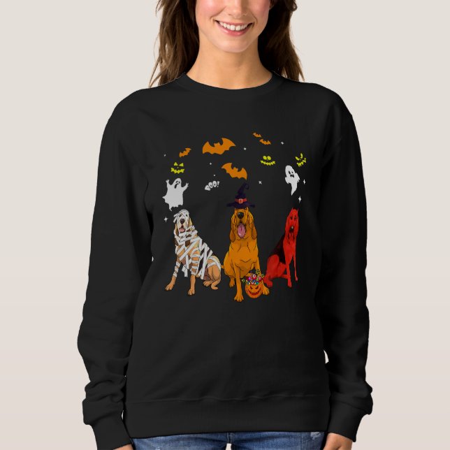 Sudadera Perro Bloodhound (Anverso)