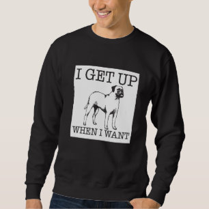 Sudadera Perro Boxer