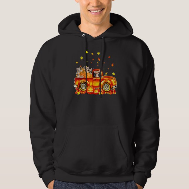 Sudadera Perro Chihuahua En Camión De Calabazas En Hallowee (Anverso)