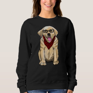 Sudadera Perro Con Gafas De Vidrio Y Tiras Rojas Cuidada La