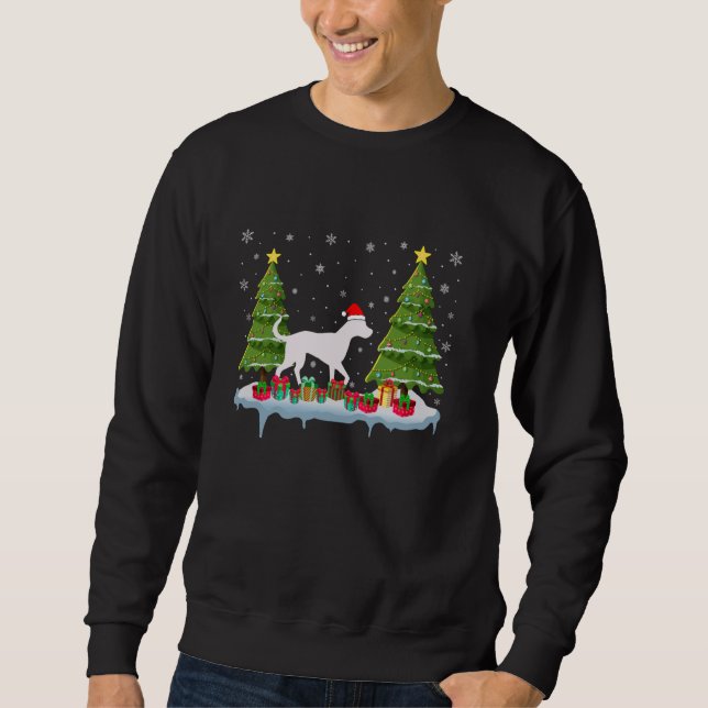 Sudadera Perro dálmata Navidad Árbol iluminando a hombres m (Anverso)