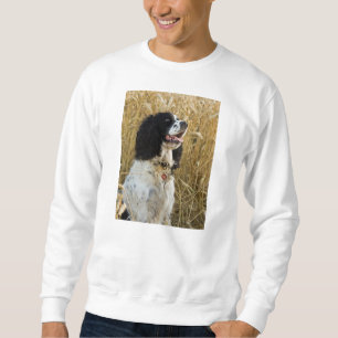 Sudadera perro de aguas de saltador inglés en wheat.png