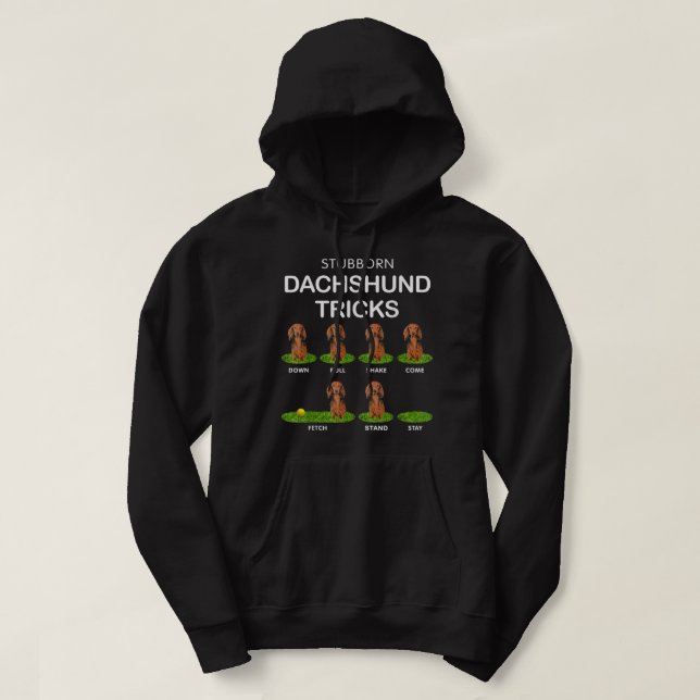 Sudadera Perro de cabeza gruesa - Dachshund de pelo largo d (Diseño del anverso)