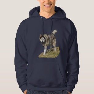 Sudadera Perro del husky siberiano