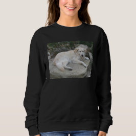 Sudadera Perro descansando en una roca