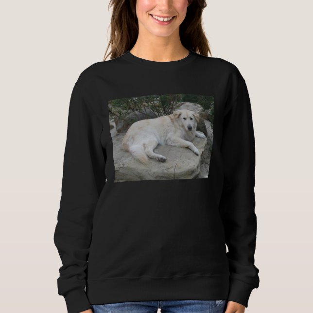 Sudadera Perro descansando en una roca (Anverso)