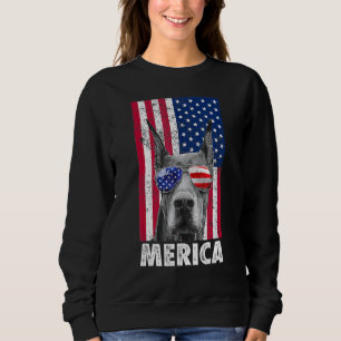 Sudadera Perro Doberman 4 De Julio Merica Hombres Bandera A