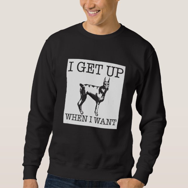 Sudadera Perro Doberman Pinscher (Anverso)