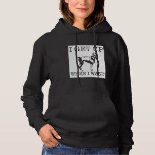 Sudadera Perro Doberman Pinscher 1