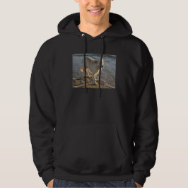 Sudadera Perro en la orilla