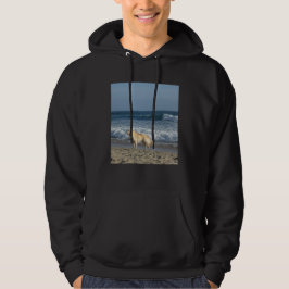 Sudadera Perro En La Playa
