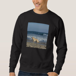 Sudadera Perro En La Playa