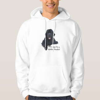 Sudadera Perro estropeado de Terranova