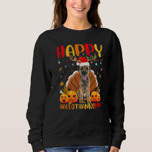 Sudadera Perro Feliz Border Terrier Perro Hellothanksmas