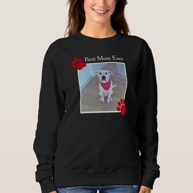 Sudadera Perro fotográfico lindo con la bufanda roja y las  (Anverso)