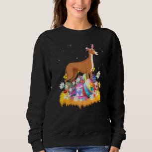 Sudadera Perro Galgo Huevo de Pascua Domingo de Pascua