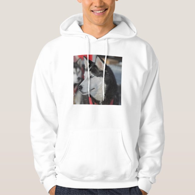 Sudadera Perro husky antes de una carrera, Canadá (Anverso)
