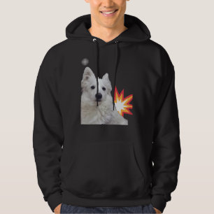 Sudadera Perro Labrador Cachorros Pug Pitbull Corgi