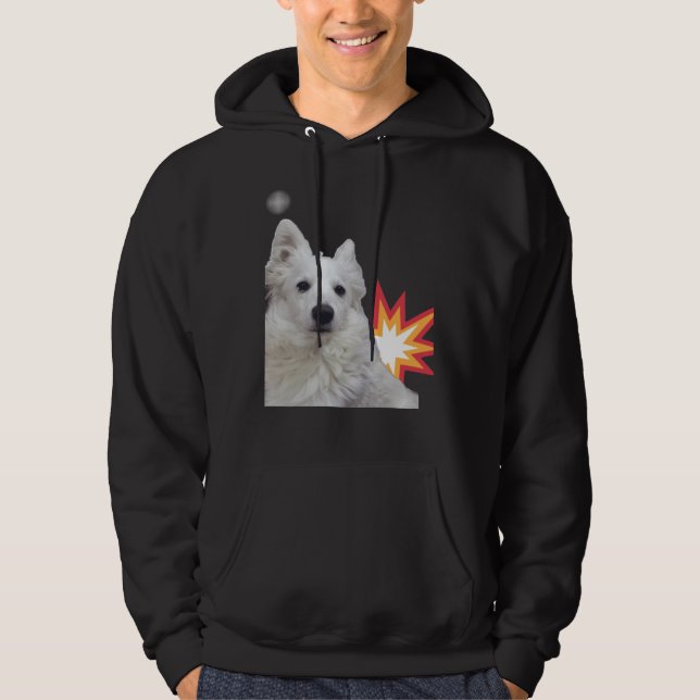 Sudadera Perro Labrador Cachorros Pug Pitbull Corgi (Anverso)