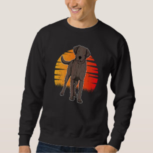 Sudadera Perro Labrador Retriever Atardecer 23