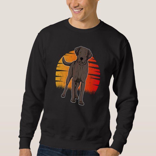 Sudadera Perro Labrador Retriever Atardecer  23 (Anverso)