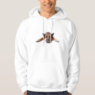 Sudadera Perro lindo