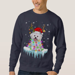 Sudadera Perro Lover Navidades Malteses Flaman Luz En Invie