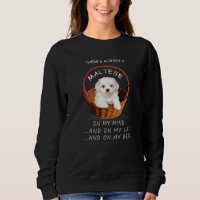 Perro maltés está en mi mente cachorro 2
