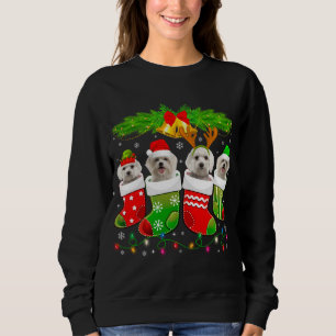 Sudadera Perro maltés lindo en Navidades de choque Perro de