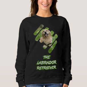 Sudadera Perro recuperador de Labrador