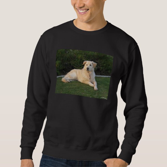 Sudadera Perro Relajante (Anverso)