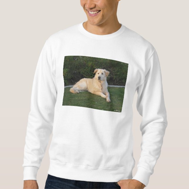 Sudadera Perro Relajante (Anverso)